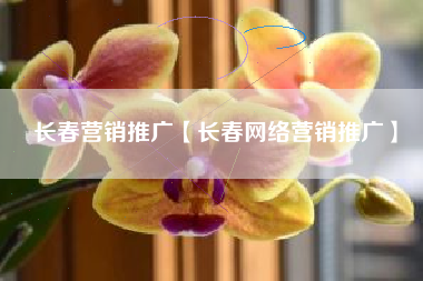 长春营销推广【长春网络营销推广】