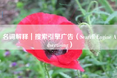 名词解释｜搜索引擎广告（Search Engine Advertising）