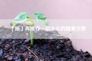 【原】再推荐一款小众的搜索引擎