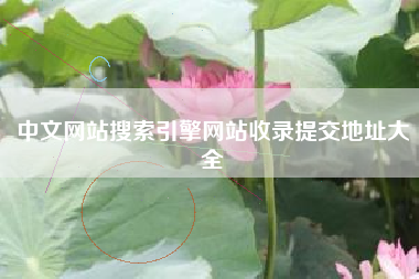 中文网站搜索引擎网站收录提交地址大全 中文网站搜索引擎网站收录提交地址大全