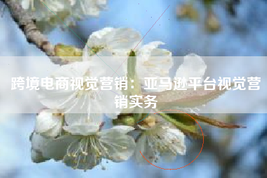 跨境电商视觉营销：亚马逊平台视觉营销实务
