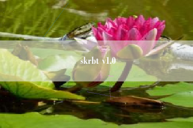 skrbt v1.0