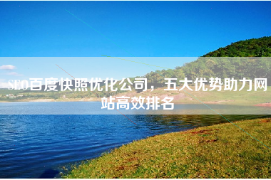 SEO百度快照优化公司，五大优势助力网站高效排名