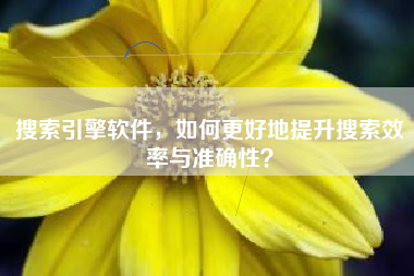 搜索引擎软件，如何更好地提升搜索效率与准确性？