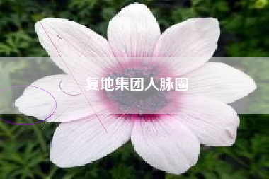 复地集团人脉圈