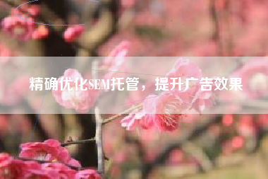 精确优化SEM托管，提升广告效果