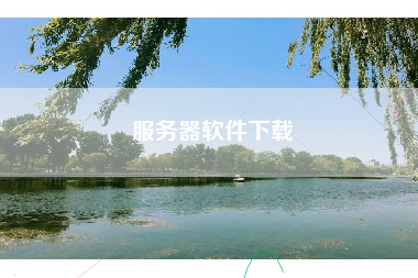 服务器软件下载 服务器软件下载