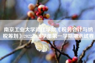 南京工业大学浦江学院《税务会计与纳税筹划》2022-2023学年第一学期期末试卷