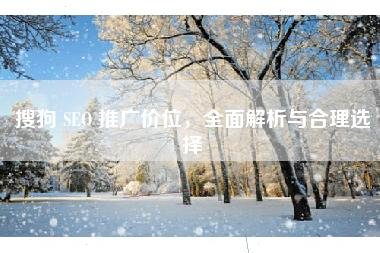 搜狗 SEO 推广价位，全面解析与合理选择