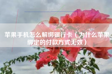 苹果手机怎么解绑银行卡（为什么苹果绑定的付款方式无效）