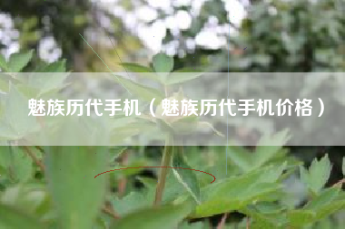 魅族历代手机（魅族历代手机价格）
