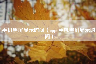 手机黑屏显示时间（oppo手机黑屏显示时间）
