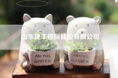山东捷丰国际储运有限公司 山东捷丰国际储运有限公司