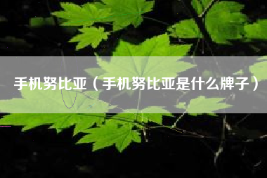 手机努比亚（手机努比亚是什么牌子）