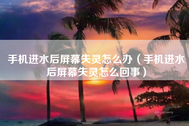 手机进水后屏幕失灵怎么办（手机进水后屏幕失灵怎么回事）