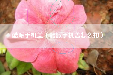 酷派手机盖（酷派手机盖怎么扣）