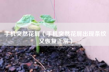 手机突然花屏（手机突然花屏出现条纹又恢复正常）
