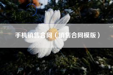 手机销售合同（销售合同模版）