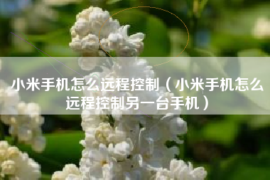 小米手机怎么远程控制（小米手机怎么远程控制另一台手机）