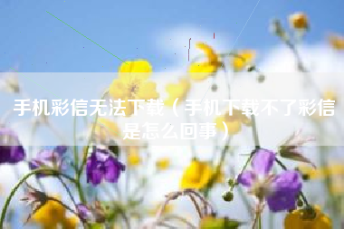 手机彩信无法下载（手机下载不了彩信是怎么回事）