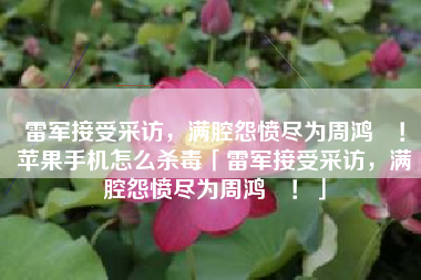 雷军接受采访，满腔怨愤尽为周鸿祎！苹果手机怎么杀毒「雷军接受采访，满腔怨愤尽为周鸿祎！」