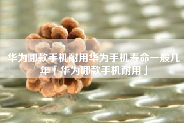 华为哪款手机耐用华为手机寿命一般几年「华为哪款手机耐用」