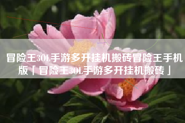 冒险王3OL手游多开挂机搬砖冒险王手机版「冒险王3OL手游多开挂机搬砖」