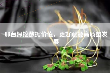 邢台深挖数据价值，更好赋能高质量发展