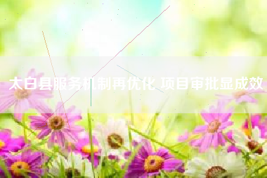 太白县服务机制再优化 项目审批显成效