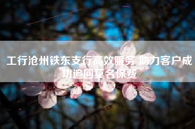 工行沧州铁东支行高效服务 助力客户成功追回莫名保费