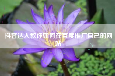 抖音达人教你如何在百度推广自己的网站