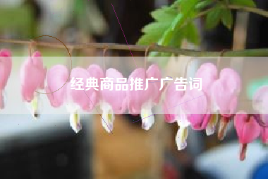 经典商品推广广告词